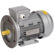 Электродвигатель трехфазный АИР 63B4 380В 0,37кВт 1500 об/мин 2081 DRIVE